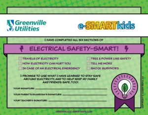 Electrical Safety-SMART certificate